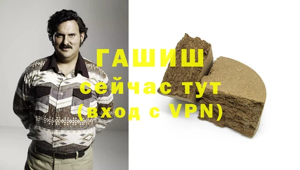 индика Покачи