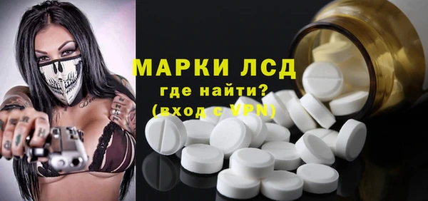 индика Покачи