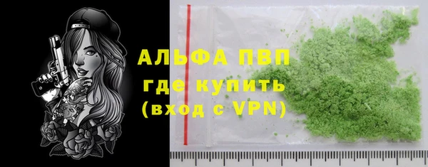 индика Покачи