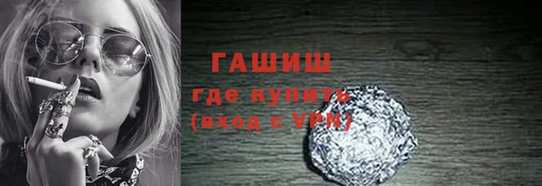 индика Покачи