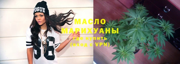 индика Покачи