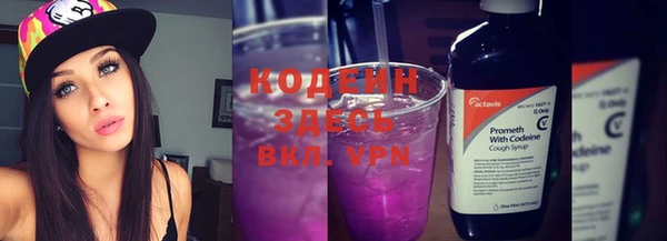 индика Покачи