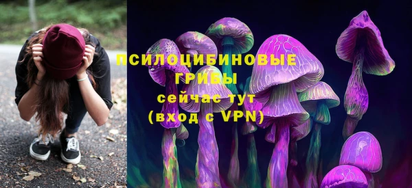 крисы Покров