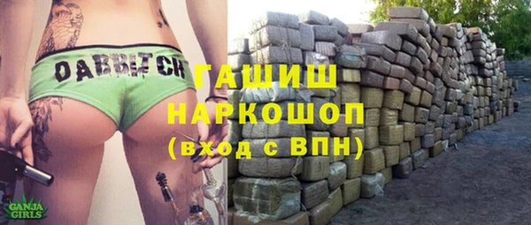 индика Покачи