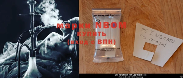 индика Покачи