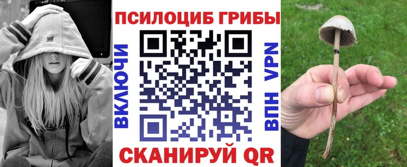 Псилоцибиновые грибы Cubensis omg ONION Миасс где можно купить наркотик